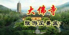 操你的骚B网站在线免费观看中国浙江-新昌大佛寺旅游风景区